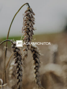 Agrarmonitor_Hintergrund_iPad_3