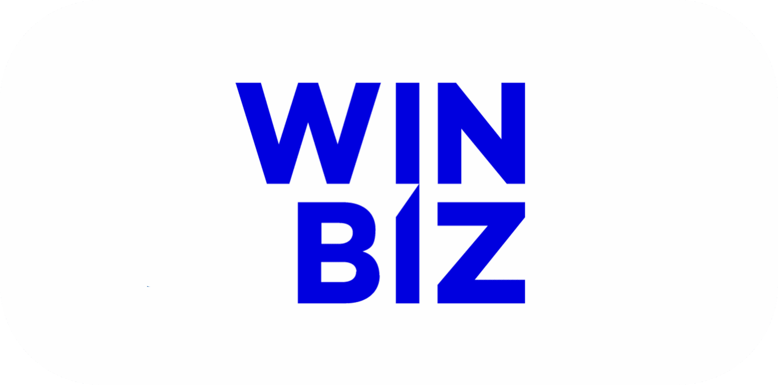 winbiz_schnittstelle_logo